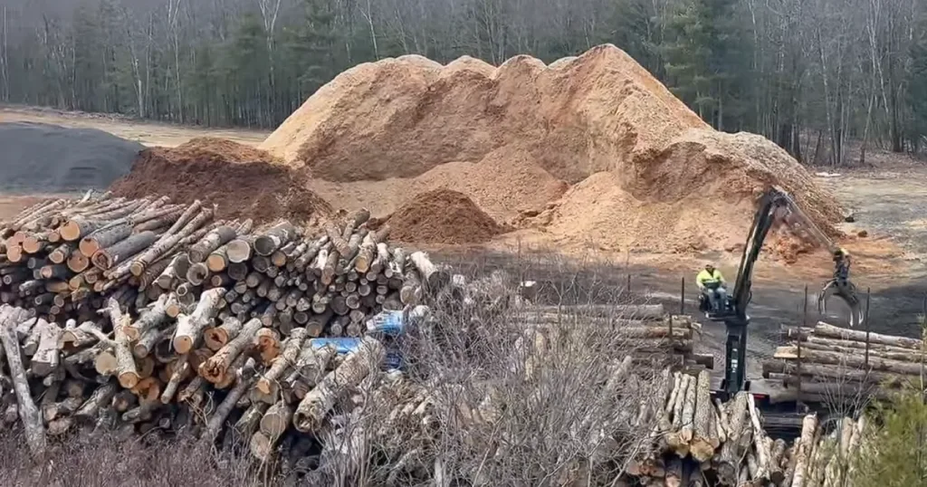 Log piles and wood chip mountain at Beaulieu Logging yard, Lyman Maine